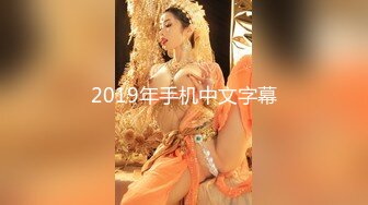 2019年手机中文字幕