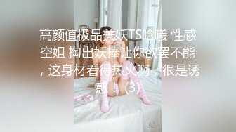 高颜值极品美妖TS晗曦 性感空姐 掏出妖棒让你欲罢不能，这身材看得热火啊，很是诱惑！ (3)