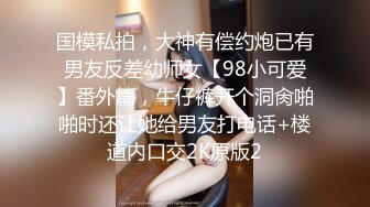 【个人摄影·套餐销售】拥有娇艳身材的人气酒吧女公关少妇完全版