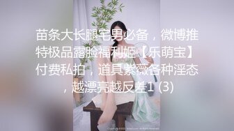 无人后继45格子百褶裙双层袜抄底