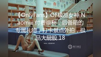 【OnlyFans】OF极品女神 Naomiii 付费福利，后备箱的专属礼物，打卡景点外拍，极品大屁股 18