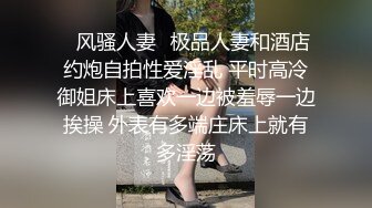 ✿风骚人妻✿极品人妻和酒店约炮自拍性爱淫乱 平时高冷御姐床上喜欢一边被羞辱一边挨操 外表有多端庄床上就有多淫荡