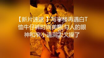 麻豆传媒&amp;Pussy Hunter PS008 最美女神 绫波麗【水印】