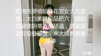  2024-10-08 香蕉秀JDSY-096长腿大嫂欲求不满健壮小叔来助阵