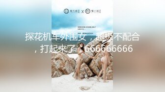 麻豆传媒 MDX-233 圣诞夜的情趣游戏