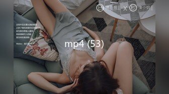 mp4 (53)