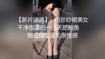 【新片速遞】   肉丝纱裙美女干净饱满的一线天肥鲍鱼❤️倒三角型逼毛很性感