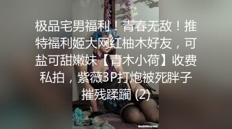 [2DF2]台客玉米须小胖和正妹女友 - [BT种子]