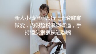 大屁股熟女人妻少妇无套情趣内衣后入