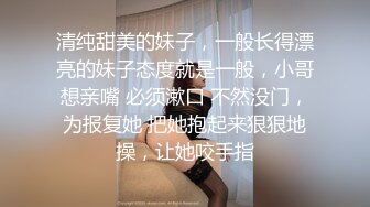 媲美秦先生91新晋大神sweattt作品与极品车模偷情呻吟超刺激-上