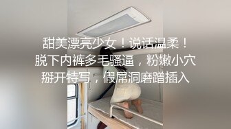 皇家華人 到底是修理水電還是修我 粗暴修理工快速抽查