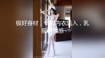 极好身材，情趣内衣后入，乳摇很性感