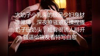 超大胸少妇超级骚、老公不在家我经常光顾