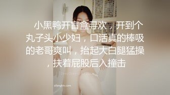 糖心Vlog 肉丝长腿女模下海记 淑怡