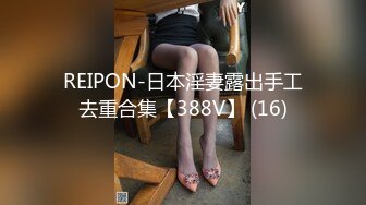 REIPON-日本淫妻露出手工去重合集【388V】 (16)