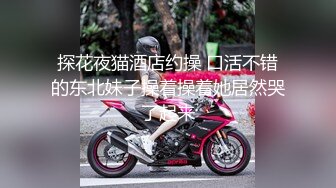 【Z先生】聚会认识的豪放东北女人叫床都很搞笑