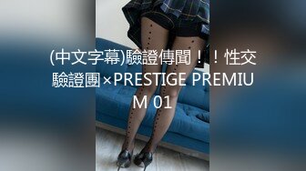 (中文字幕)驗證傳聞！！性交驗證團×PRESTIGE PREMIUM 01