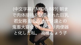 (中文字幕) [ADN-310] あなた、許して…。 犯●れ願望 小早川怜子