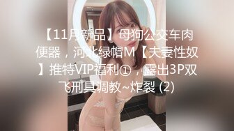 宅男露脸女神福利，推特S级身材反差福利姬【挽风】VIP私拍，白皙美腿美乳特写道具玩弄小蜜穴 (2)