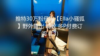 推特30万粉母狗【Ella小骚狐】野外露出 调教 多P付费订阅 (13)