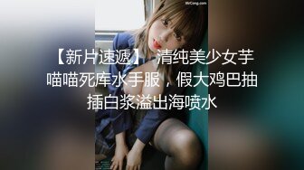 国产麻豆AV MD MD0063 女優面試員 袁庭妮