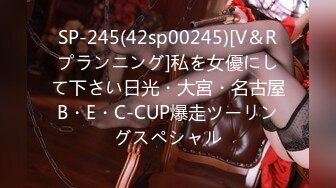 SP-245(42sp00245)[V＆Rプランニング]私を女優にして下さい日光・大宮・名古屋B・E・C-CUP爆走ツーリングスペシャル