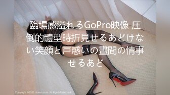 臨場感溢れるGoPro映像 圧倒的體型時折見せるあどけない笑顔と戸惑いの晝間の情事 せるあど