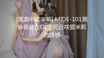 [高清中文字幕] MIDE-101黑絲長腿女OL上司丘咲愛米莉的誘惑