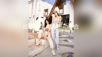 麻豆传媒 MPG014 释放空姐女友的性欲-苏清歌