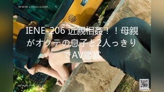 IENE-206 近親相姦！！母親がオクテの息子と2人っきりでAV鑑賞