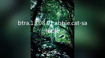 btra.13.08.01.abbie.cat-sample